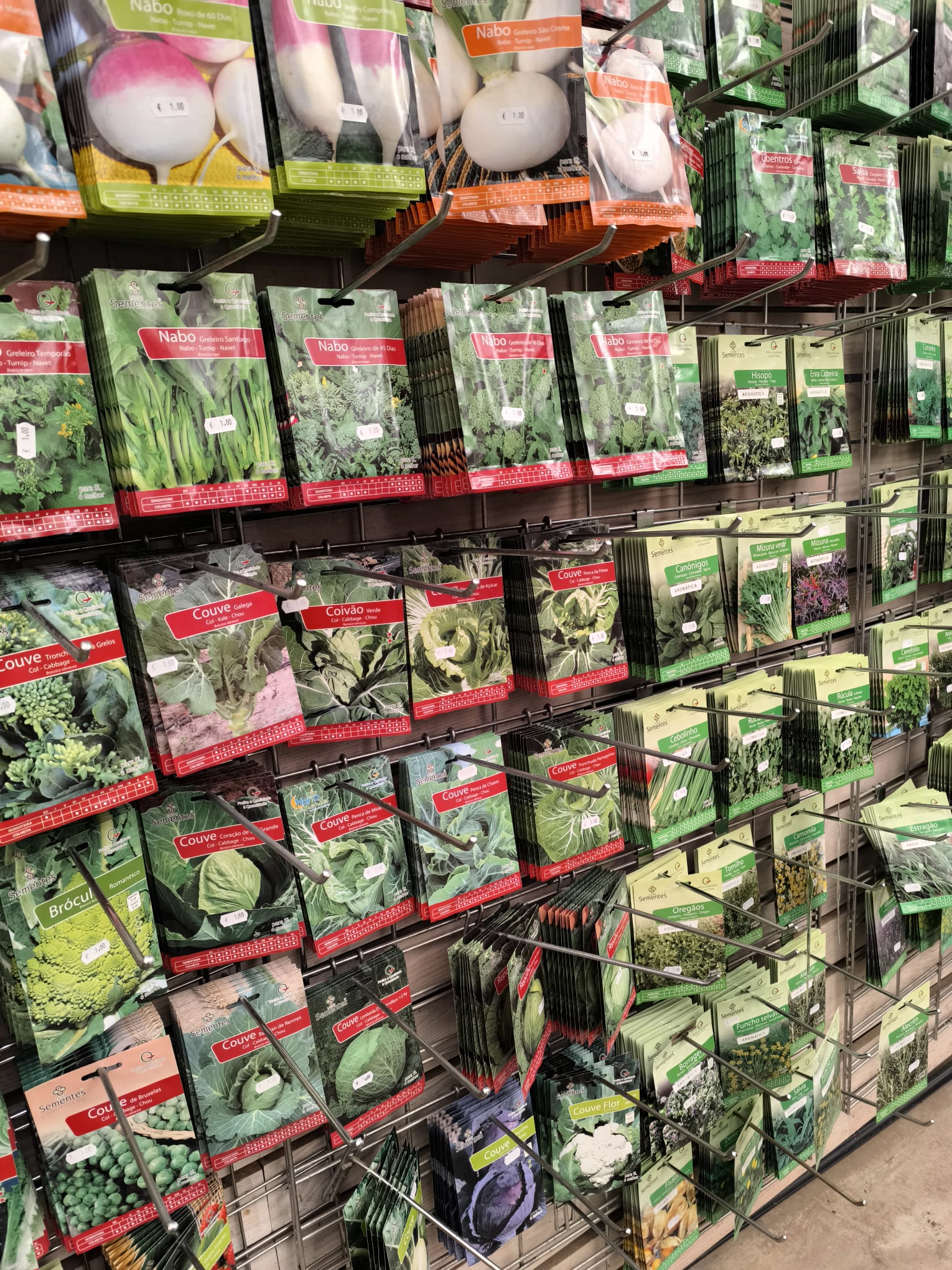 Sementes Hortícolas e Aromáticas (Variadas)